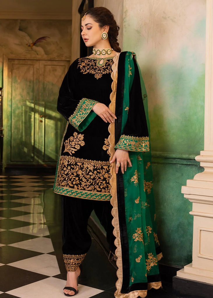 Winter VelVet Collections
