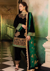 Winter VelVet Collections